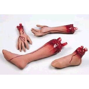 Severed Arm Economy Halloween Prop