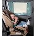 Eddie Bauer Deluxe Roller Shade 2pk