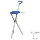 SPORTSEAT(スポーツシート) スポーツシート ホワイト 48124