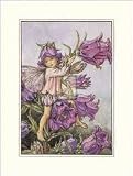 THE CANTERBURY BELL FAIRY, Art Poster by CICELY MARY BARKER