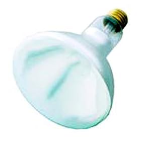 125 Watt Heat Lamp Clear R40 Shape (5 Diameter) Medium Base by SLI Lighting