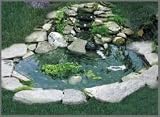 Winged Aquatics Bird Pond with 3 Tier Cascade