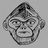 タリホー (通常盤)