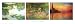 Monet Art Styles Poster Print by Claude Monet, 36x12