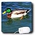 Birds - Mallard Duck - Mouse Pads