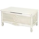 IMAGE OF Rattan Accent Storage Trunk