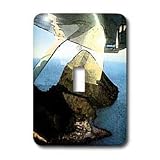 Jos Fauxtographee Realistic - The Wing of an Airplane Flying over The Ocean and Looking Down on an Active Volcano in New Zealand - Light Switch Covers - single toggle switch