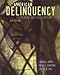 American Delinquency: Its Meaning and Construction
