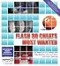 Books : Flash 3D Cheats Most Wanted