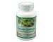 Alfa Vitamins Garcinia Cambogia 500 mg 60 caps Weight Loss Control Appetite Health