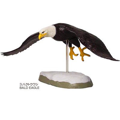 Cover image : 立体図鑑リアルフィギュアボックス ラプター (猛禽類 ワシタカ類)