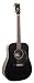 Recording King Classic Series I Dreadnought Acoustic Guitar, Rosewood Back & Sides, Black Finish