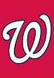 Washington Nationals Mini Garden Window Flag 15"x10.5" MLB Baseball Fan Shop Sports Team Merchandise