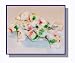 Christmas Peppermint Salt Water Taffy
