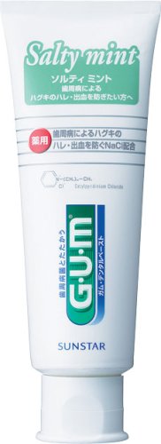 GUM ソルティミントスタンディング150G