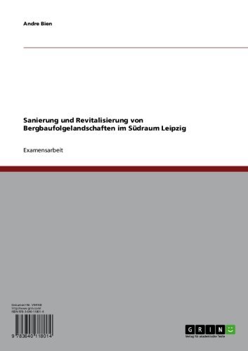 Sanierung und Revitalisierung von Bergbaufolgelandschaften im Südraum Leipzig (German Edition)