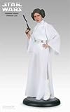 Princess Leia from Star Wars