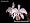 Cattleya Alliance Bare Root Orchid Collection