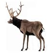 Hansa Ride-On Reindeer Stuffed Plush Animals, Medium