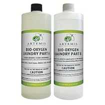 Liquid Laundry Detergent, 32 oz., Fresh