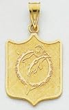 Miami Dolphins Logo Charm - M1926