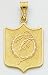 Miami Dolphins Logo Charm - M1926