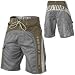 Zoo York Formation Board Short - Men's