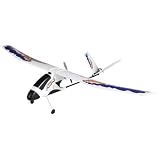 Firebird Phantom RTF Electric by HobbyZone