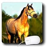 Horse - Quarter Horse - Mouse Pads