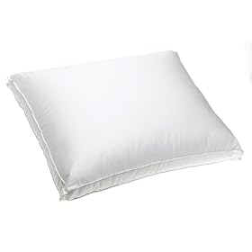 Simmons Beautyrest Pocketed Coil Queen Pillow
