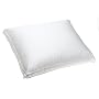 Simmons Beautyrest Pocketed Coil Queen Pillow
