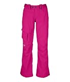 The North Face Shawty Ski Pants Fuschia Pink Womens
