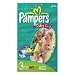 Health & Personal Care : Pampers Baby Dry Diapers Sesame Street, Size 3 - 16 To 28 lbs(7-13 kg), Jumbo Pack - 40 diapers / pack, 4packs