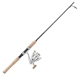 Pflueger Trion Spinning Combo