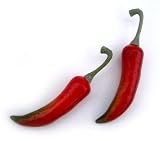 Artificial All Red Chili Pepper, Small, Bag of 36