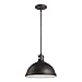 Sea Gull Lighting 65086-715 Pratt Street Metal Two-Light Pendant with Clear Textured Glass Diffuser, Autumn Bronze Finish