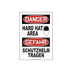 DANGER HARD HAT AREA (W/GRAPHIC) Sign - Plastic