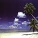 Office Products : Chairmat 36' x 48' - 'Carribean' Print Poly Carbonate Chairmat - Floortex - 229220ECCR