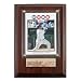 Chicago Cubs Geovany Soto Baseball Card Plaque