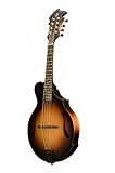 Breedlove American Series KF Mandolin, Burst
