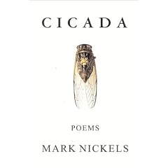 Cicada