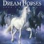 Dream Horses Calendar 2006 (Wall Calendar)