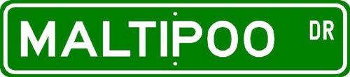Maltipoo STREET SIGN ~ High Quality Aluminum ~ Dog Lover
