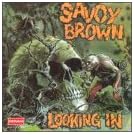 Looking In