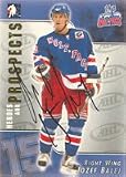 Jozef Balej, Hartford Wolf Pack - AHL Autographed Card