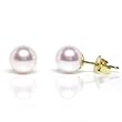 HinsonGayle AAA Japanese Akoya 6.5-7.0mm White Cultured Pearl Stud Earrings (14K Yellow Gold)