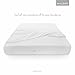 SLEEP TITE ENCASE Bed Bug Proof, Waterproof Zippered Box Spring Encasement - King