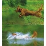 Beautiful Evidence ~ Edward R. Tufte