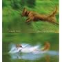 Beautiful Evidence von Edward R. Tufte