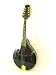 NEW Acoustic MANDOLIN - JET BLACK w. SPRUCE Instrument